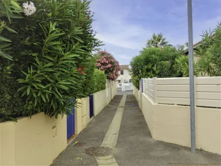 Les Mas Bleus : maison 5 pers. à Saint Cyprien - Photo 17