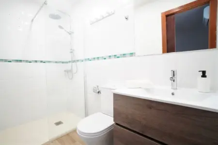 Maison 1 chambre avec accès direct à la plage : photo 14