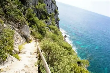Maison 1 chambre avec accès direct à la plage : photo 29