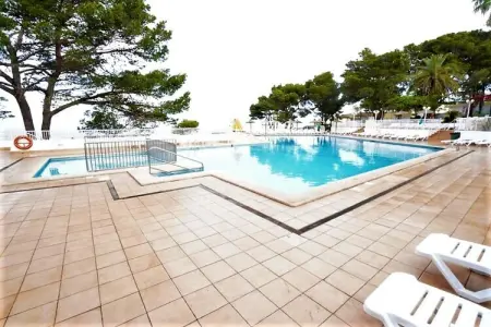 Maison 1 chambre avec accès direct à la plage : photo 38