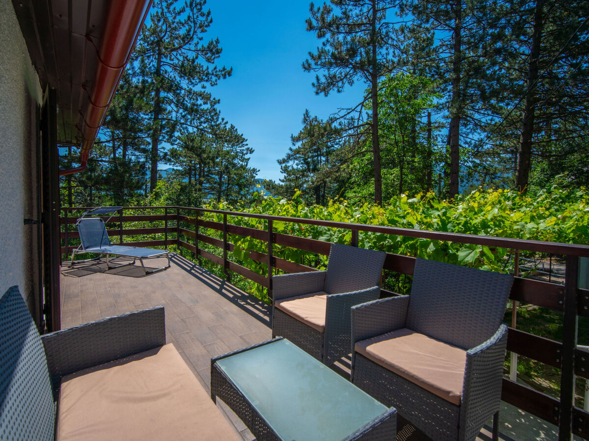 Chalet Nina à Fužine : 6 personnes, jacuzzi et sauna - Photo 3