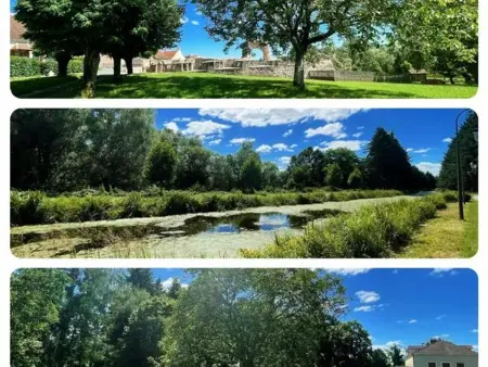 Gîte 1 chambre avec jardin clos près du canal de Berry - Photo 12