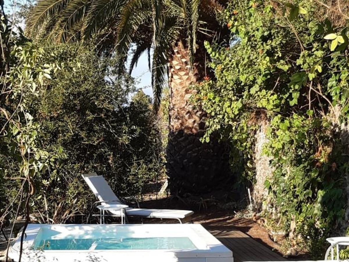 Gîte 4 pers. avec piscine privée à Santa Brígida - Photo 21