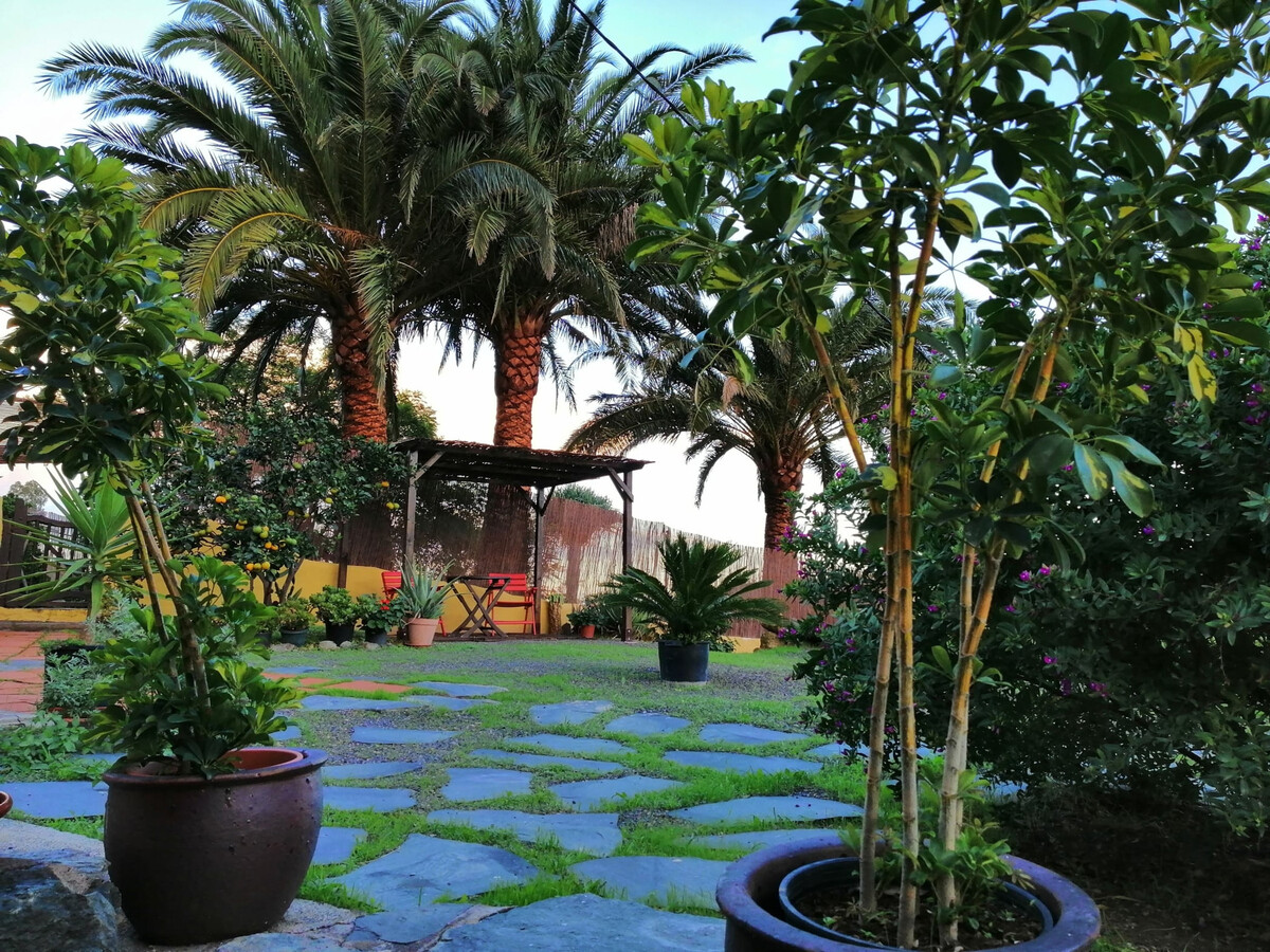 Maison troglodyte Santa Brígida : terrasse 20m² et jardin 450m² - Photo 15