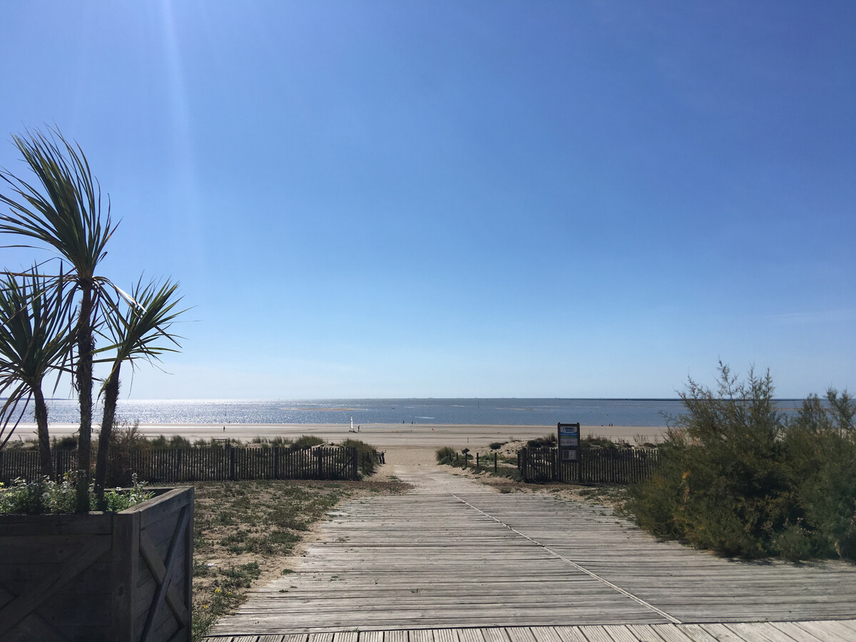 Maison d'Alger - 70 m² avec jardin à 200 m de la plage - Photo 5
