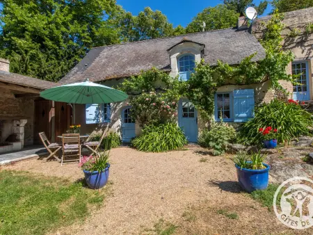 Gîte aux volets bleus avec jardin clos près de la Loire : photo 9