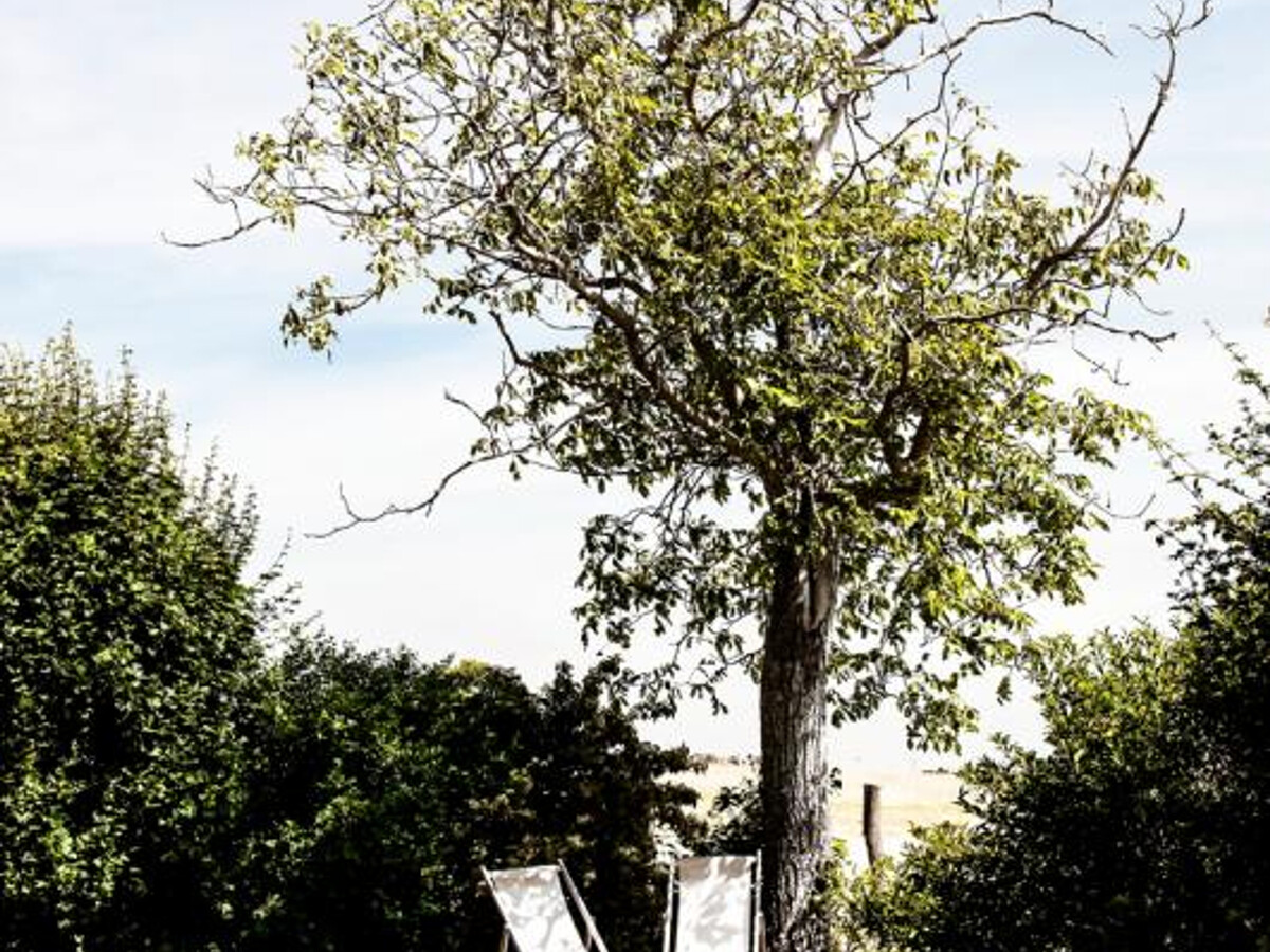 Gîte 5 pers. avec piscine commune à Saint-André-d'Apchon - Photo 13