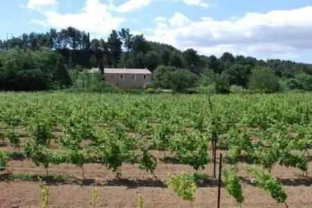 Gîte Rozières à Couleuvre, 4 pers., campagne : photo 28