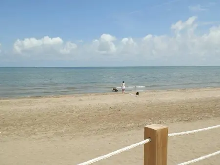 Villa 4 pers. avec piscine privée près de la mer : photo 25