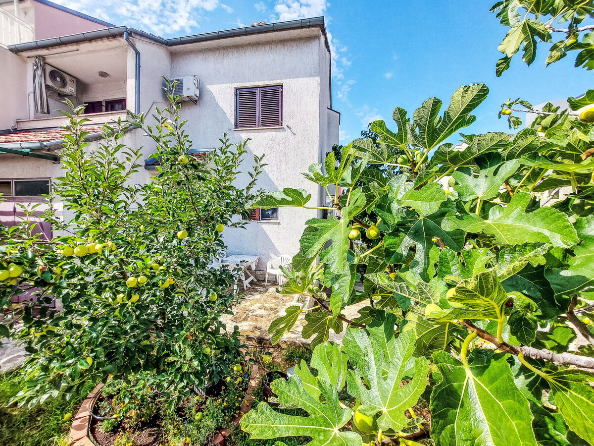 Maison Ante à Brodarica, 3 chambres, vue mer - Photo 11