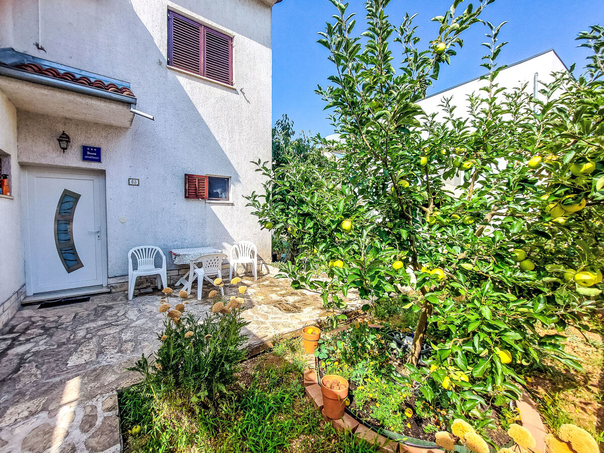 Maison Ante à Brodarica, 3 chambres, vue mer - Photo 33
