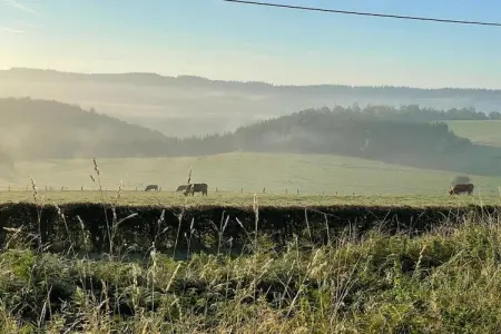 Le Courtil, maison 8 personnes à 200 m de la forêt : photo 39