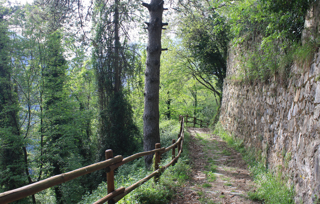 Maison traditionnelle 6 pers. à Terrinca, village de montagne - Photo 31