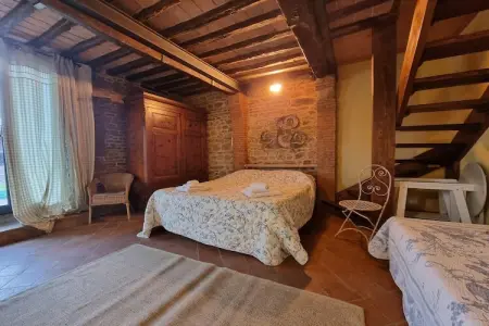 Alpaca, Ferme en Toscane avec piscine près de Pise - Photo 4