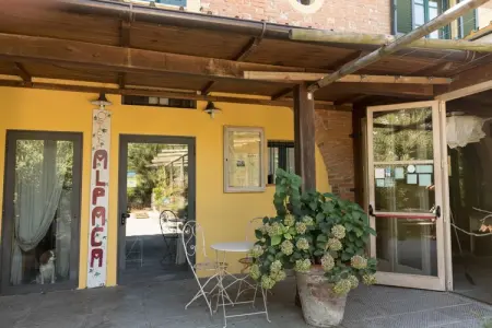 Alpaca, Ferme en Toscane avec piscine près de Pise - Photo 6
