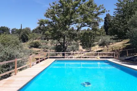 Alpaca, Ferme en Toscane avec piscine près de Pise - Photo 8