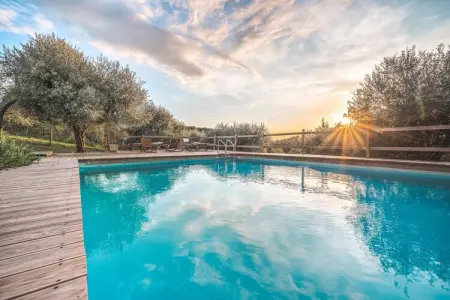 Alpaca, Ferme en Toscane avec piscine près de Pise - Photo 11