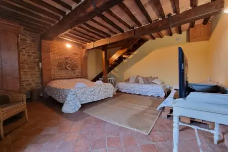 Alpaca, Ferme en Toscane avec piscine près de Pise - Photo 13