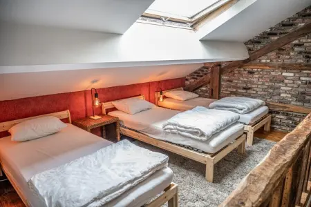 Maison 12 personnes à Vresse-sur-Semois, 2 terrasses : photo 21