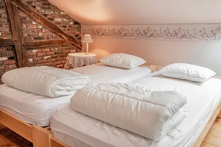 Maison 12 personnes à Vresse-sur-Semois, 2 terrasses : photo 23