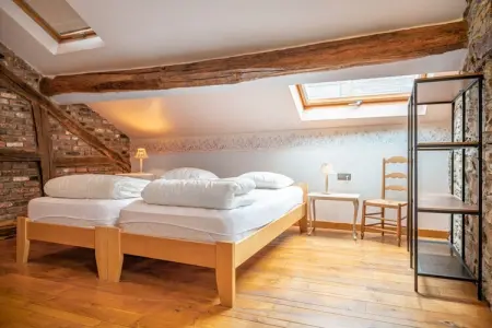 Maison 12 personnes à Vresse-sur-Semois, 2 terrasses : photo 24