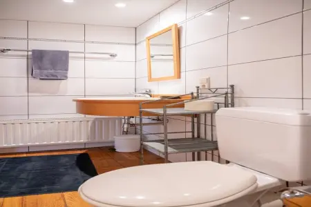 Maison 12 personnes à Vresse-sur-Semois, 2 terrasses : photo 26