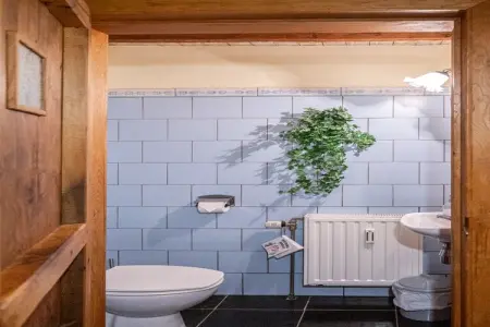 Maison 12 personnes à Vresse-sur-Semois, 2 terrasses : photo 28