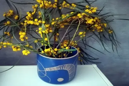 Joanna's House, Maison de vacances א Nieuw-Loosdrecht - Photo 21