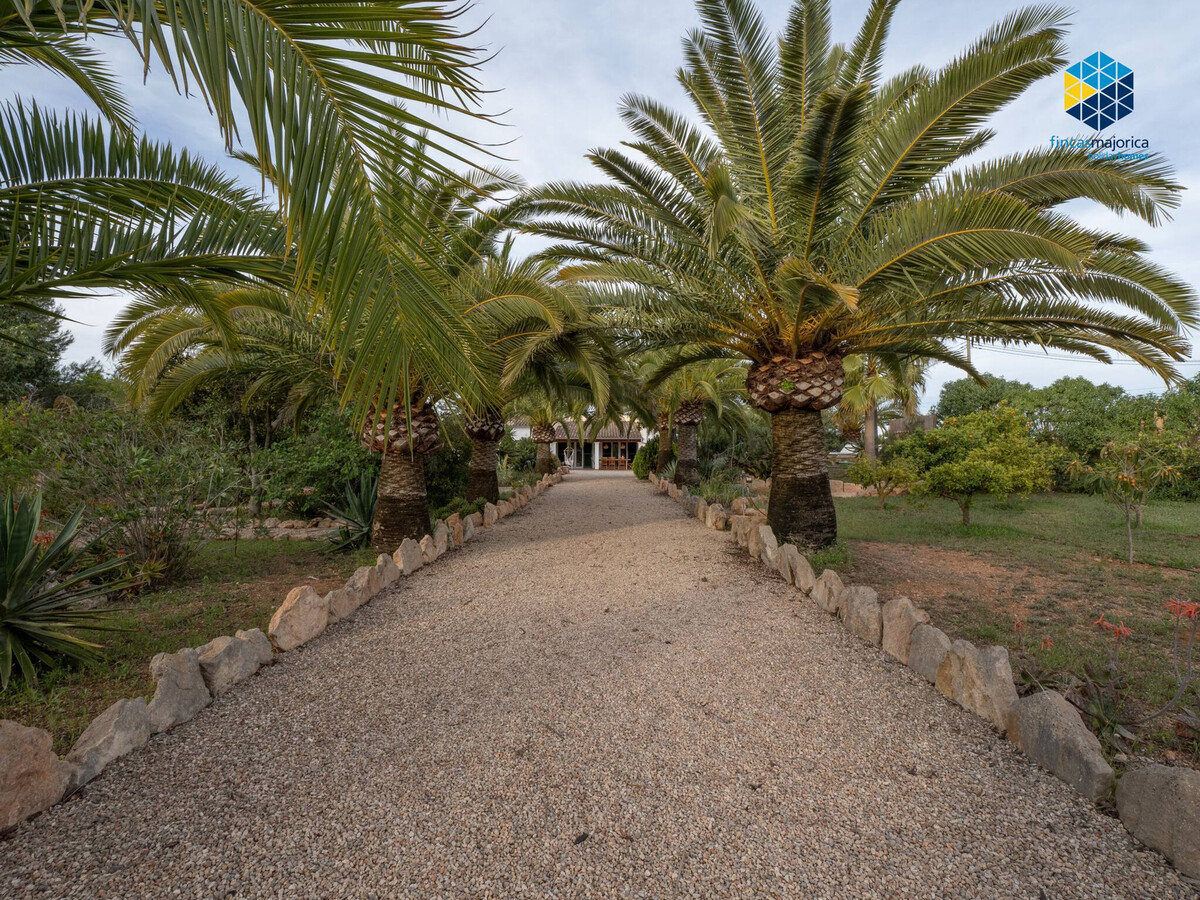 Maison 200m² à Llucmajor : 4 chambres, piscine et jardin - Photo 33