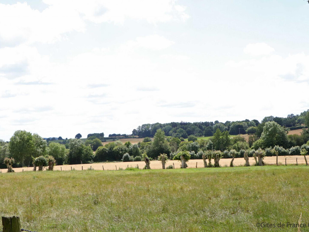 Gîte en pierre avec jardin 1200 m² - 6 pers. - Photo 29
