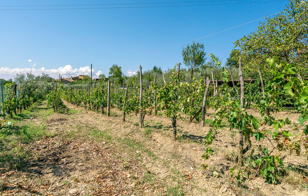 Villamota, Maison 4 personnes à Arezzo - Photo 20