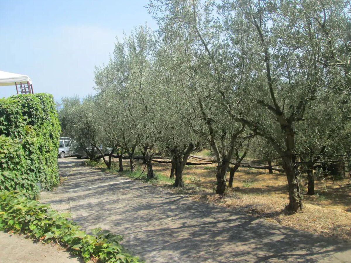 Garden House Li Galli, maison 6 pers. Massa Lubrense - Photo 20