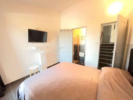 Villa 5 pièces avec piscine et WiFi à Porticcio - Photo 11
