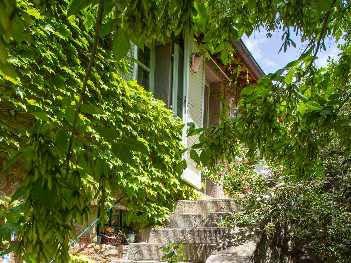 Il Cherubino – Gîte 8 chambres avec piscine à Cortona - Photo 44