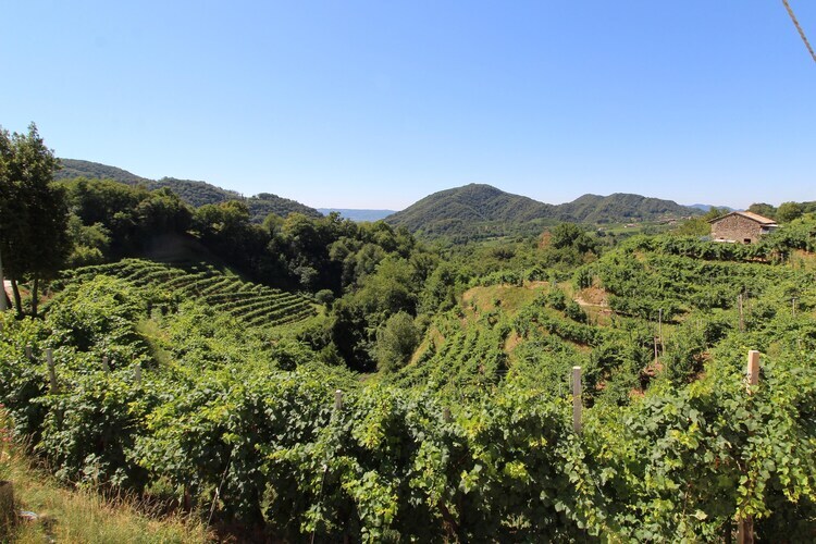 Riva dei Tor, Maison à Veneto avec vignobles de Prosecco - Photo 28