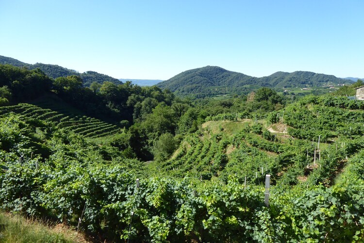 Riva dei Tor, Maison à Veneto avec vignobles de Prosecco - Photo 30