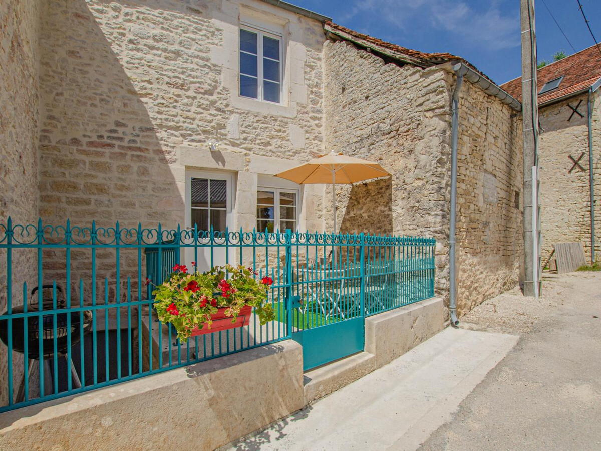 Gîte en pierres avec cour privée, vignoble Côte des Bar - Photo 1