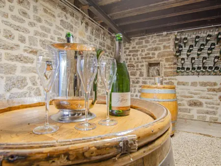 Charmant gîte en pierres, cœur vignoble, 2 chambres, cour privée, tout inclus, proche Troyes & Nigloland - Photo 22