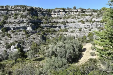 Villa Les Gorges à Minerve, 3 chambres avec terrasse : photo 34
