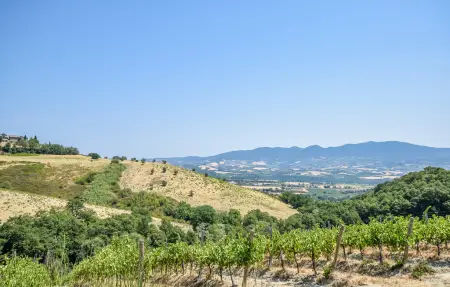 Location Maison 6 personnes à Civitella D'Agliano - Photo 24