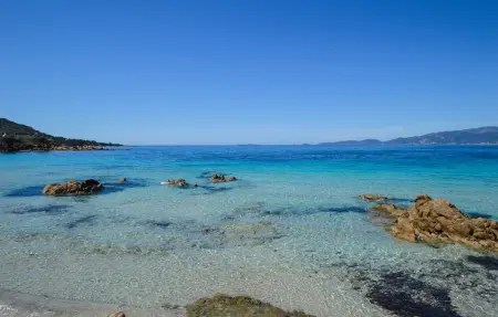 Maison en pierre Corse, vue vallonnée à 5 km de la mer : photo 14