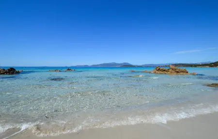 Maison en pierre Corse, vue vallonnée à 5 km de la mer : photo 15