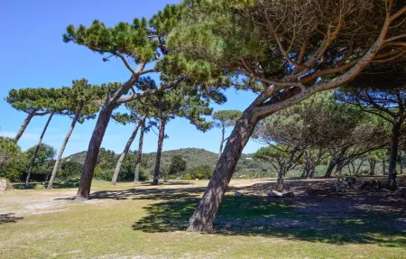 Maison en pierre Corse, vue vallonnée à 5 km de la mer : photo 17