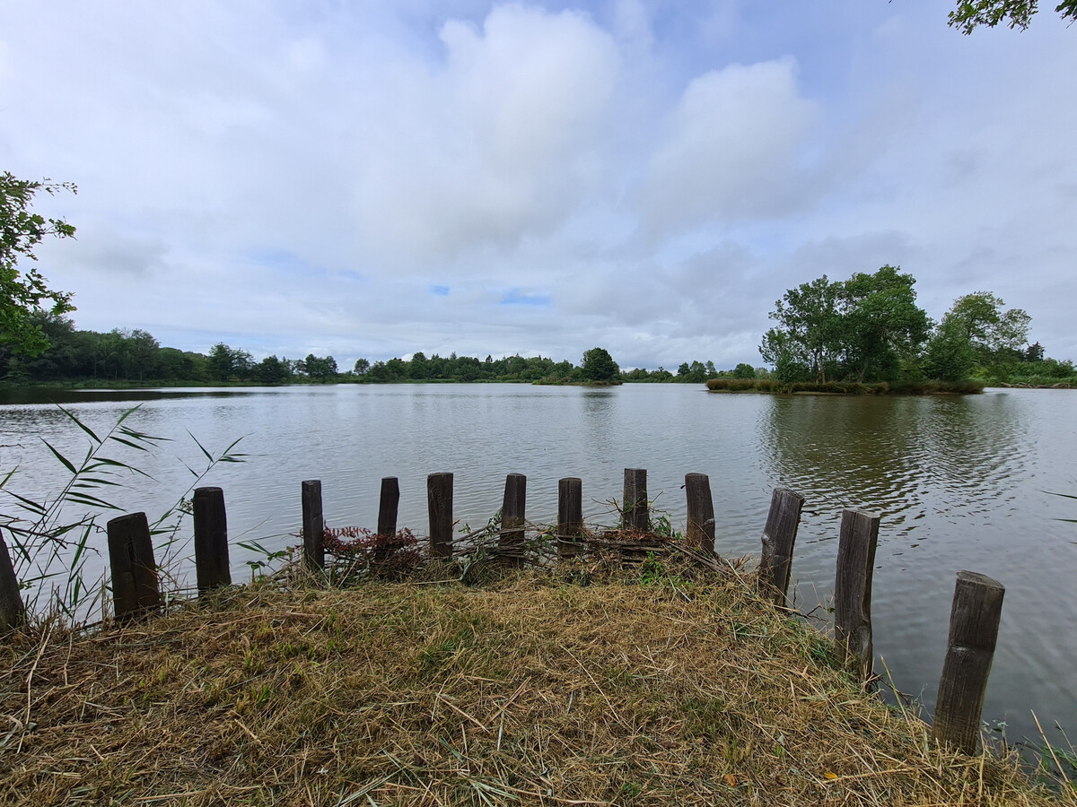 Gîte 14 pers. à Bélâbre : maison, lofts, piscine et étang privé - Photo 9