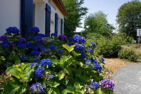 Maison 0 personnes à  - Photo 35