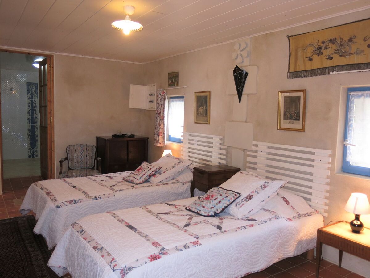 Les Landes du Chinonais, gîte 2 pers. avec poêle - Photo 11