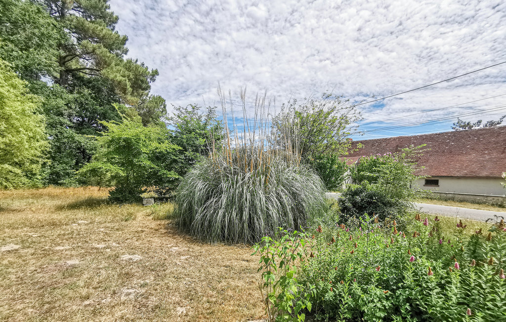 Maison historique 10 pers. avec parc naturel à Selles-sur-Cher - Photo 7