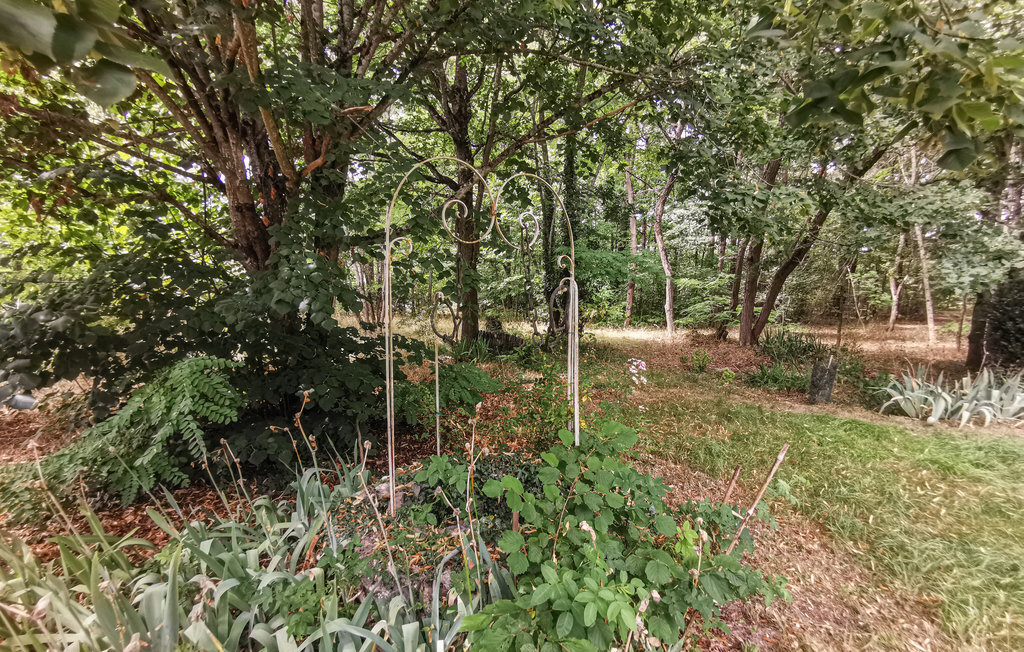 Maison historique 10 pers. avec parc naturel à Selles-sur-Cher - Photo 10