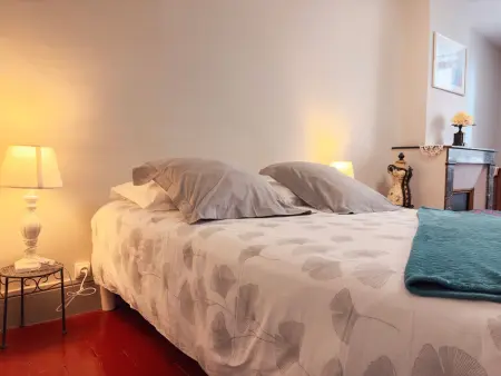 Maison confortable près des Châteaux de la Loire et Zoo de Beauval avec cour et parking privé - Photo 12