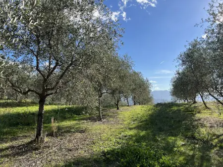 Villa Casa di Bà, 2 chambres avec piscine à Afa : photo 29